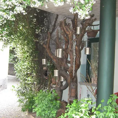 Sangalli 2*