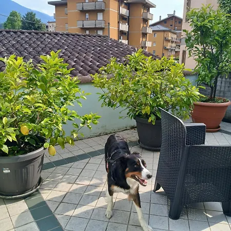 Hotel Sangalli Boario Terme