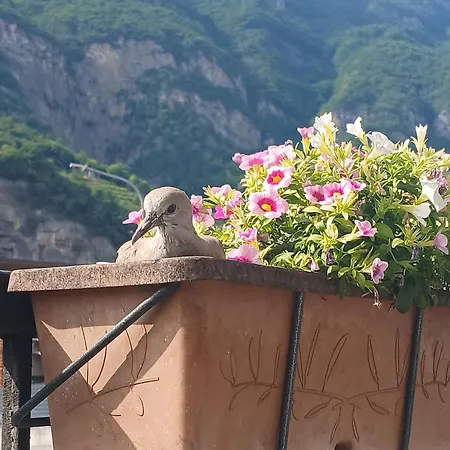 Sangalli Hotel Boario Terme