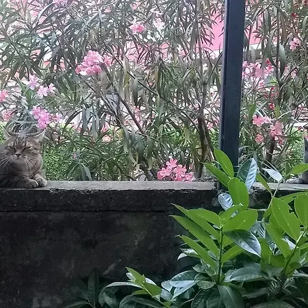 Sangalli Boario Terme