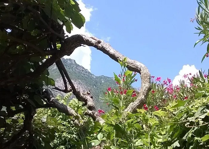 Sangalli